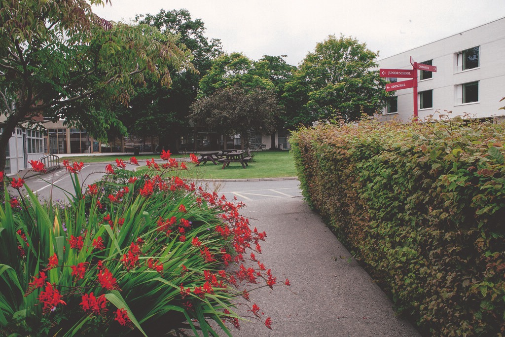 Alexandra College